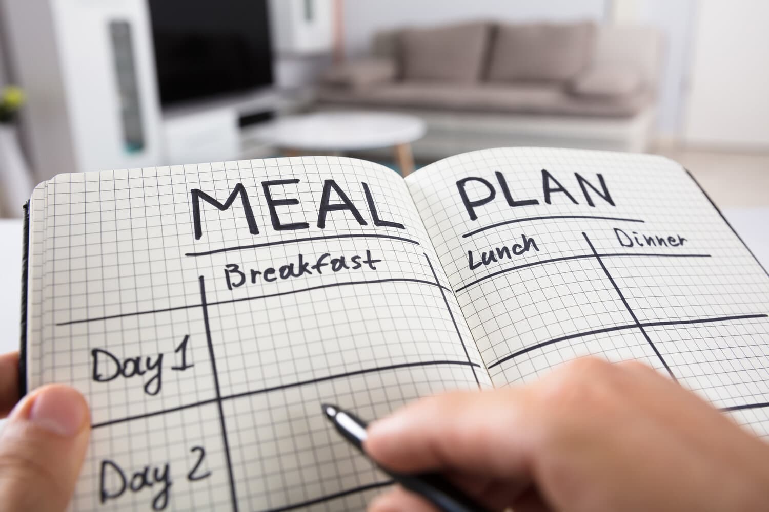 Meal plan