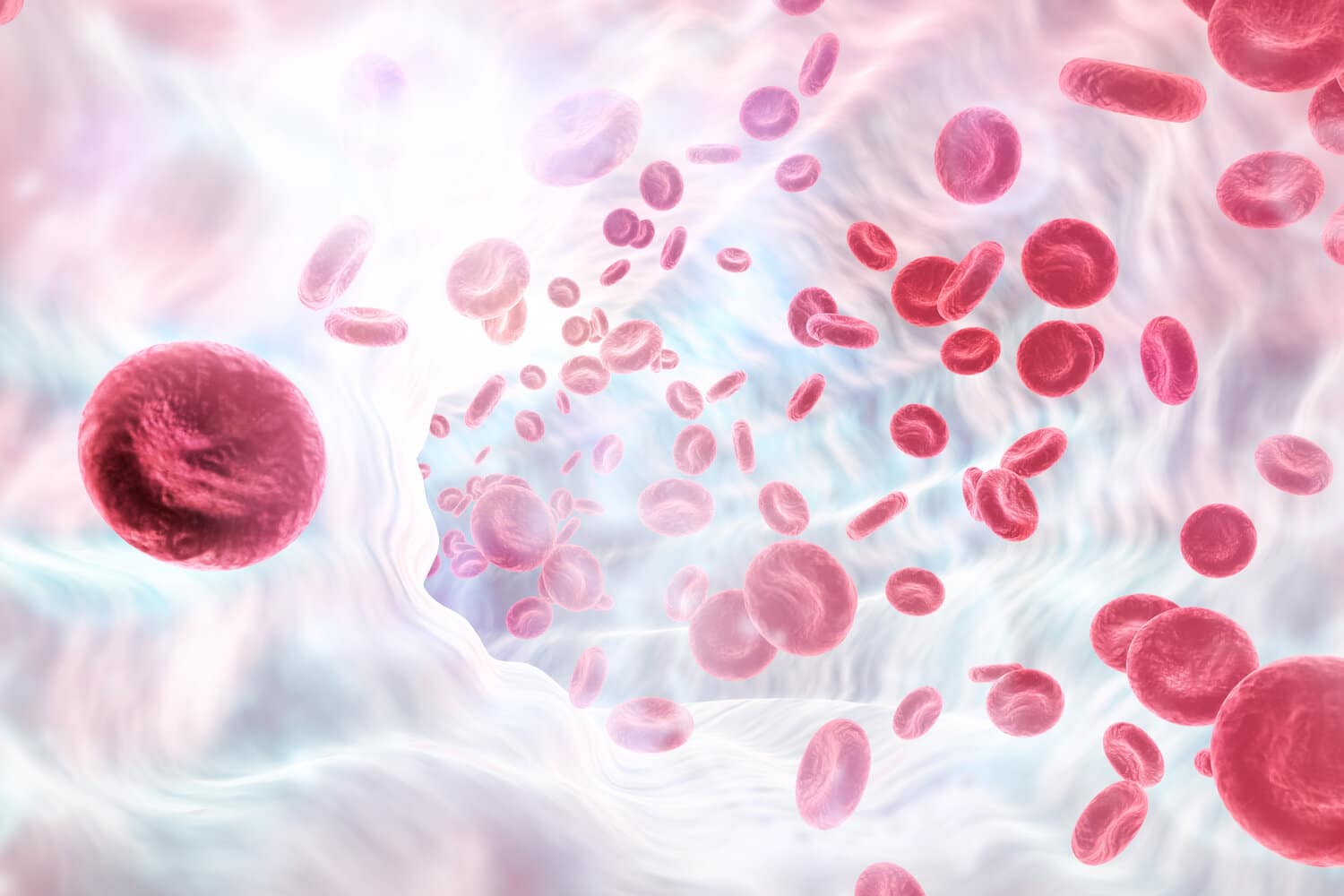Blood cells illustration