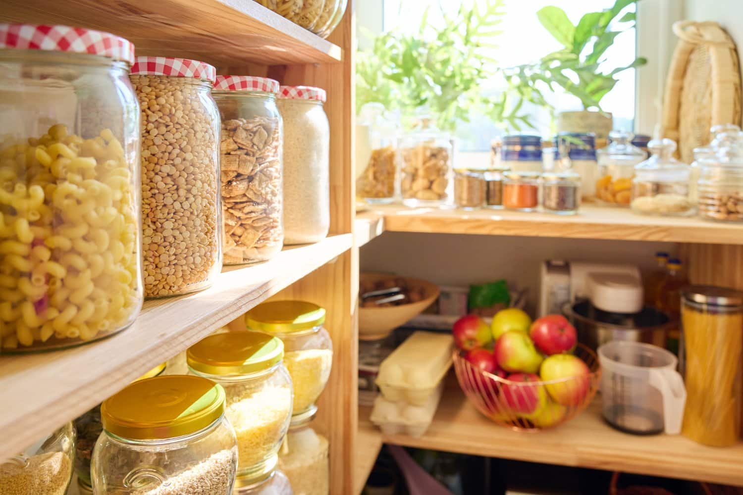 Food Storage